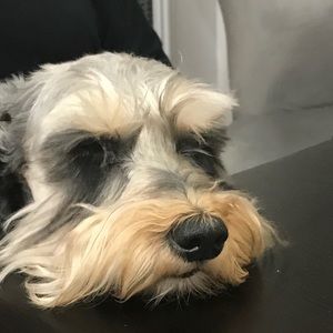 Meet your Posher, Kelly